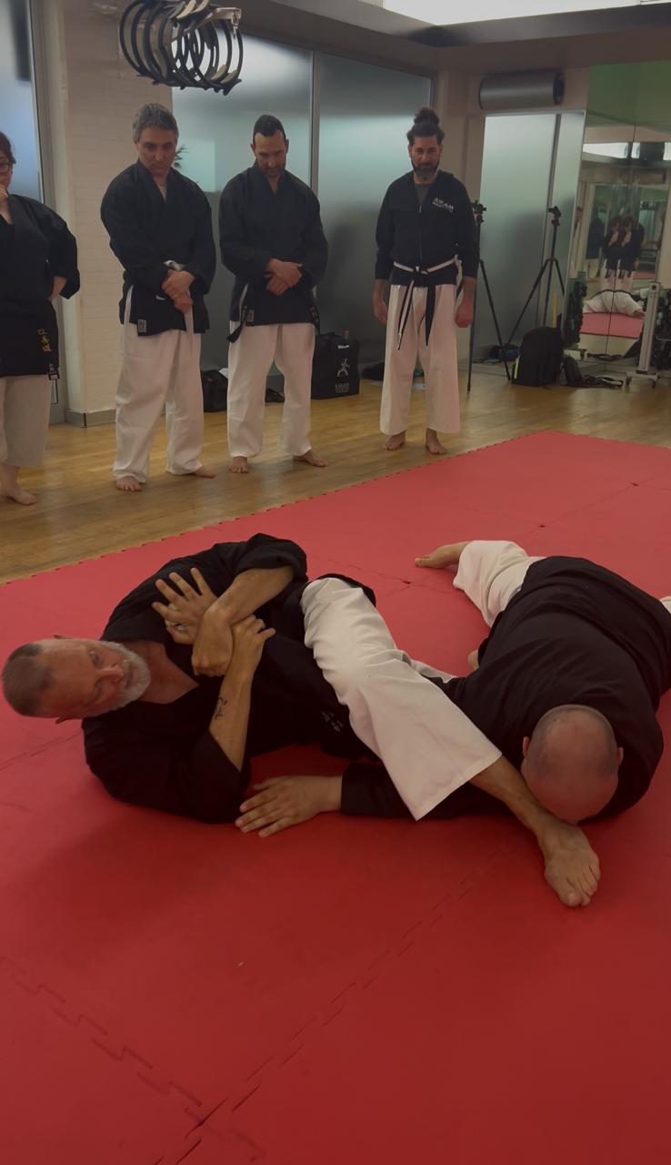 Wado Self Defence – leva articolare