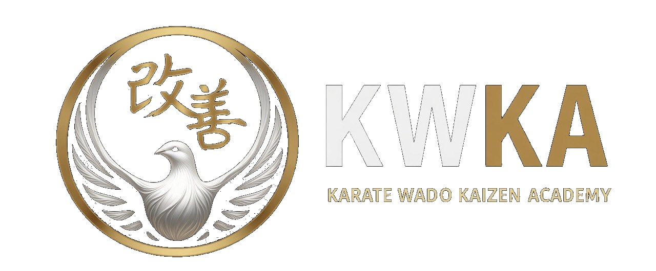 Wado Kaizen Academy